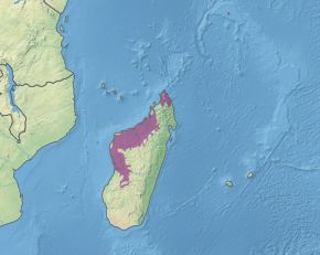 Description de l'image Ecoregion AT0202.svg.