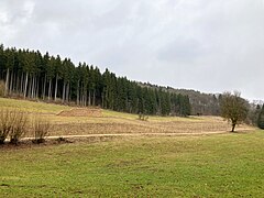 Eseltal oberhalb des Hochwasserrückhaltebeckens (2022)