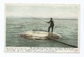 Fishing Cone en 1898.