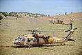 UH-60 Black Hawk Yanshuf der 123. Staffel „Desert Birds“ (gelbes Symbol am Heck)