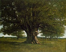 Le Chêne de Flagey, qui était situé près de la ferme et peint par Courbet en 1864.