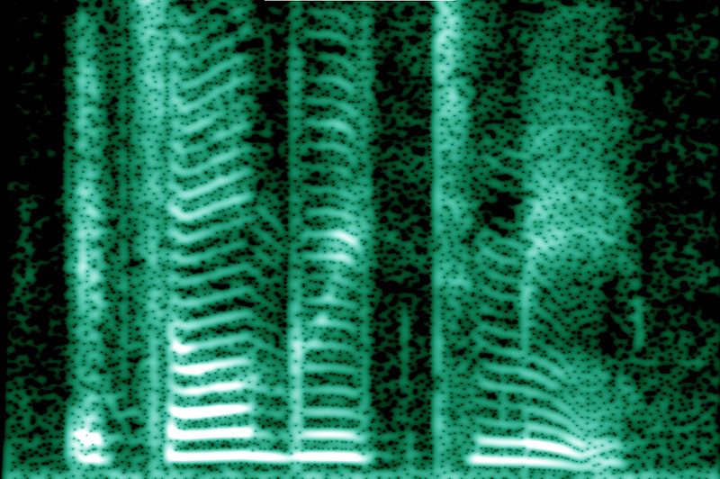 Ofbyld:Human voice spectrogram.jpg