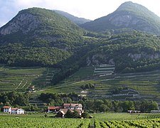 Strecke von Aigle-Dépôt nach Fontanney in den Rebbergen