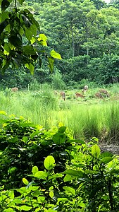 Photowalk Event in Chitwan