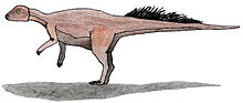 Miniatura para Micropachycephalosaurus hongtuyanensis