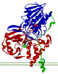 Miniatuur voor Monoamino-oxidase