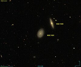 NGC 1021