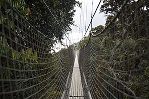 Canopy Walk im Nyungwe-Nationalpark