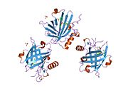 List Of Gelatinase Positive Bacteria