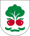 Coat of arms of Gmina Belsk Duży