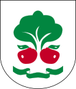 Wappen der Gmina Belsk Duży