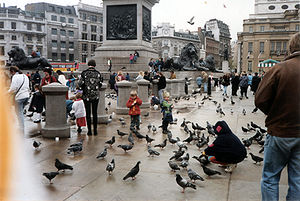 People young and old feed the pigeons in Trafa...