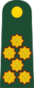 Перу-Армия-OF-10.svg