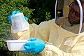 Die Puderzuckermethode ermittelt Varroabefall in einem Bienenvolk.