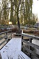 Le saule pleureur avec la grenouillère sous la neige