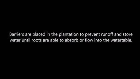 File:Runoff and filtersoxx.ogv