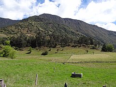 Livestock farming