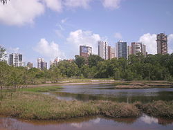 Skyline de Fortaleza vista de dentro do parque.