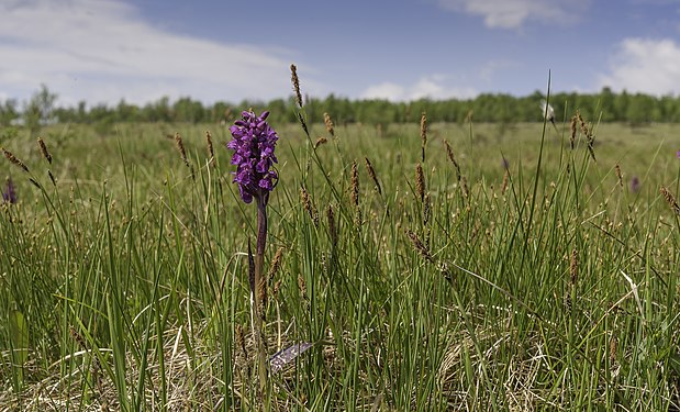 Solendet nature reserve Foto: Klevsand