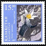 On a postage stamp of Kazakhstan