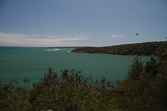 View from Guánica State Forest.