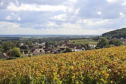 Skyline of Gevrey-Chambertin