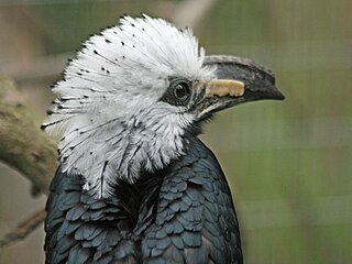 San Diego Zoo