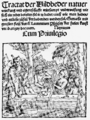 Traktat der Wildbäder Natur. 1519