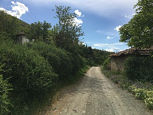 Патот низ селото