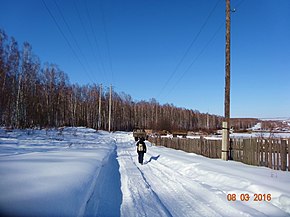 Просека возле села (зима 2016 года)