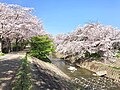 2021年3月31日 (水) 01:35時点における版のサムネイル