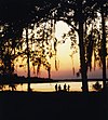 Закат на Кривой реке 1994 (612001088) .jpg