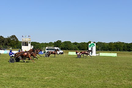 Arrivée d'une course au trot