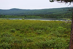 Bietsek från Kungsleden.