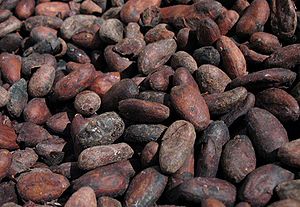Roasted cocoa (cacao) beans