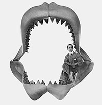 Black-and-white photo of a man sitting inside a megalodon jaw reconstruction.