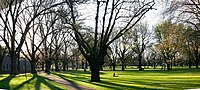 Miniatuur voor Carlton Gardens