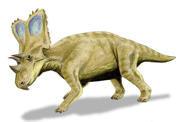 איור משוער של כסמוזאור, סוג של דינוזאור ממשפחת הצרטופיים.