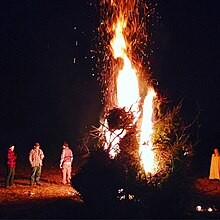 A bonfire of old Christmas trees