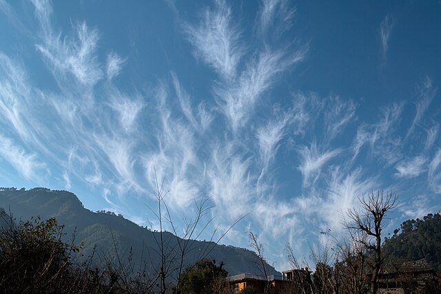 Des cirrus uncinus dans le ciel de Mandi, dans l'État indien de l'Himachal Pradesh.
 (définition réelle 5 278 × 3 524)