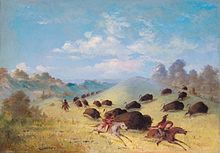 Comanche Indians Chasing Buffalo with Lances and Bows, a mid-19th century portrait depicting the Comanche tribe by George Catlin, now on display at the Smithsonian American Art Museum in Washington, D.C. Comanche Indians Chasing Buffalo with Lances and Bows.jpg