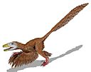 Illustration of a feathered Deinonychus antirrhopus