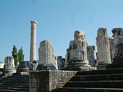 Colonne non cannelée, tenons de bardage non épannelés.