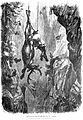 Die Gartenlaube (1876) b 517.jpg Aufbringung eines Berghirsches aus der „Zwing“ Originalzeichnung von Gustav Sundblad
