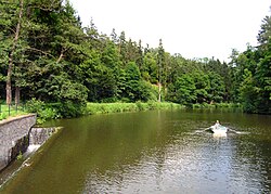 Dolnomlýnský rybník z hráze, 2009
