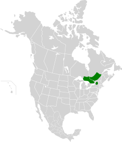 Eastern forest-boreal transition map.svg