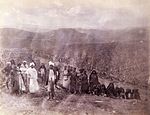 Plantagearbetare 1875