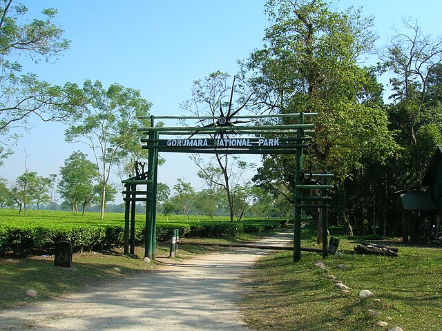 Gorumara National Park, India