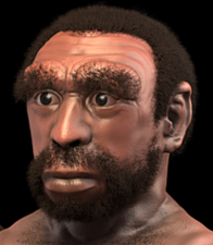 Homo heidelbergensis