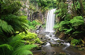 Hopetoun Falls, Otway National Park, Victoria,...